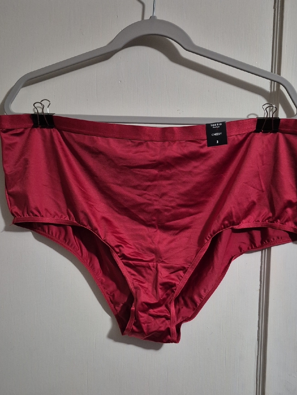 Torrid Deep Raspberry Cheeky Bikini Bottoms